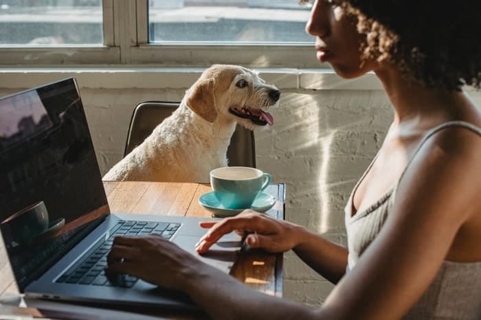 virtual meeting etiquette tips and ground rules