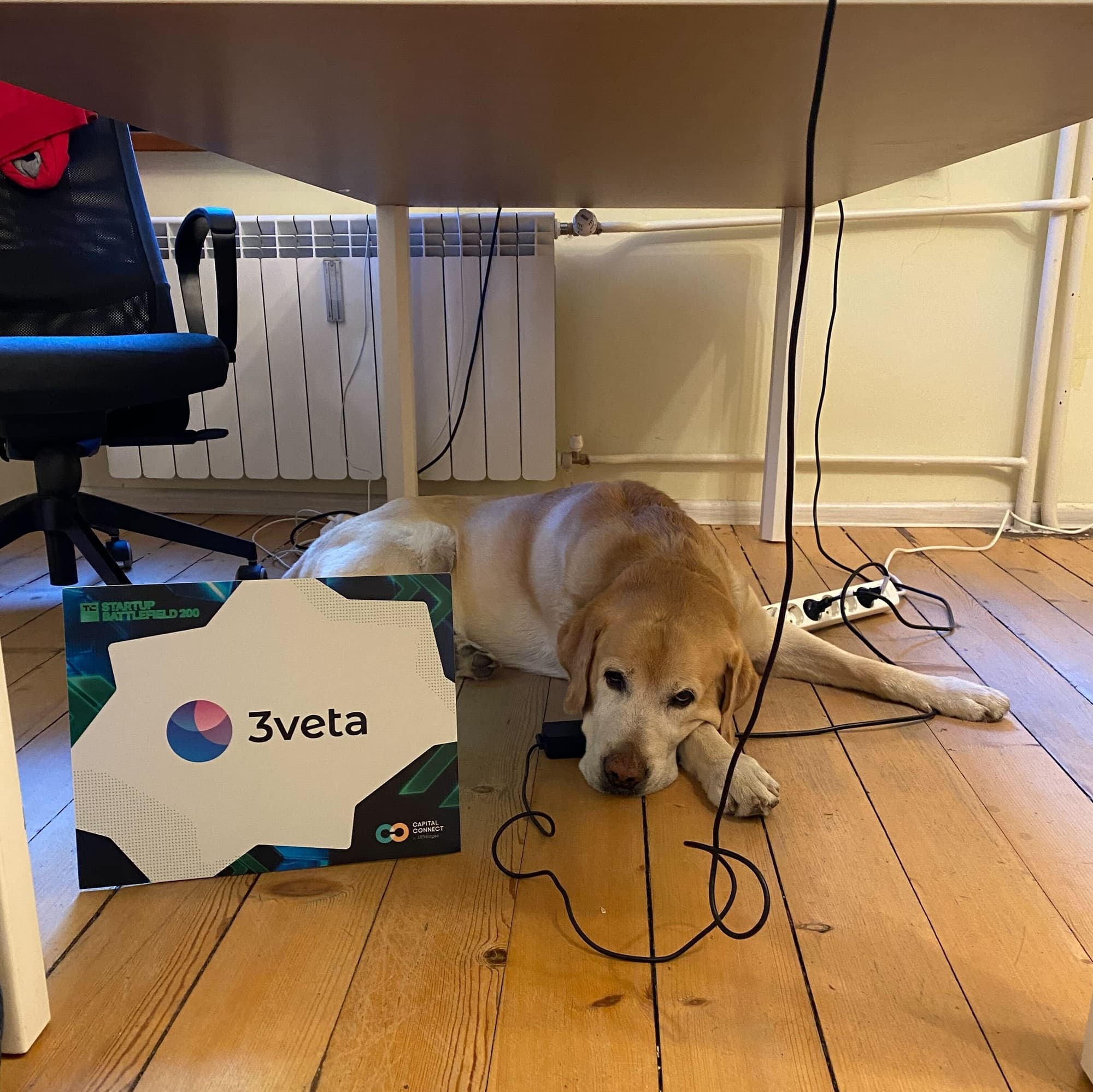 Lucky in the Office after TechCrunch Disrupt
