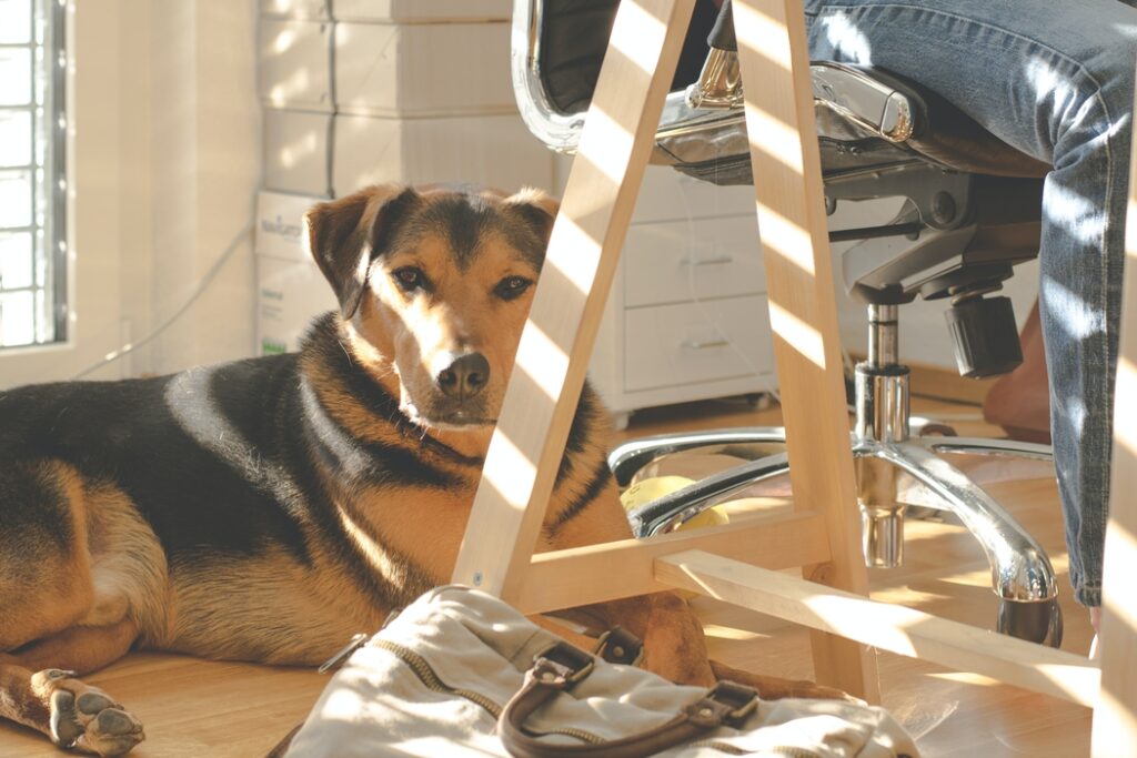 108. A complete guide to working from home-5